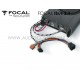 Focal IBus 2.1