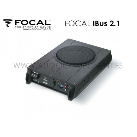 Focal IBus 2.1