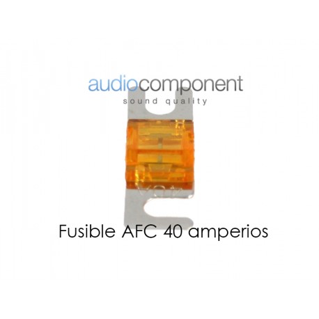 Fusible AFC 40 amperios