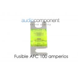Fusible AFC 100 amperios