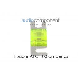 Fusible AFC 100 amperios