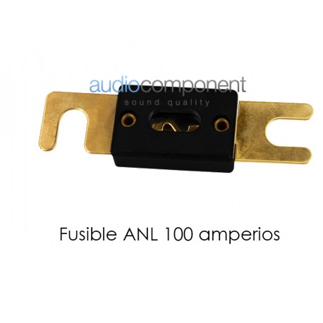 Fusible ANL 100 amperios